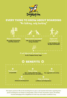 How It Works Boarding 11.11 